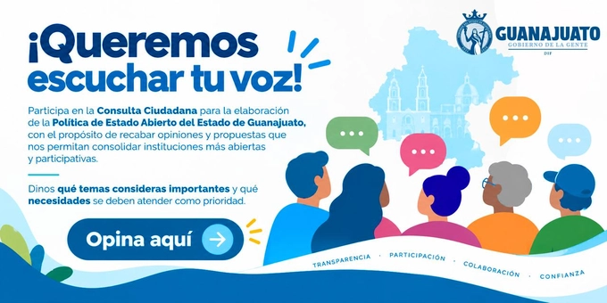CONSULTA CIUDADANA